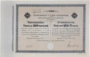 1899. "Körmend-németujvári h. é. vasut részvénytársaság" törzsrészvénye 200 Koronáról, szelvényekkel magyar és német nyelven T:I,I- Hungary 1899. "Local Railway Corporation of Körmend-Németújvár" common stock in 200 Korona value with coupons in German and Hungarian language C:AU