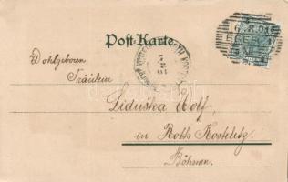 Cheb, Eger; artist signed litho