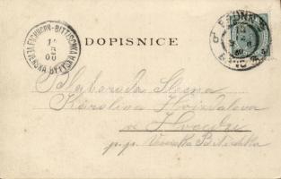 Brno, congress hall litho