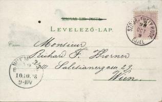 1898 Szombathely, szőlő, litho