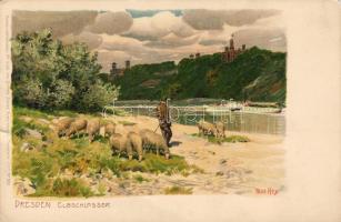 Dresden s:Paul Hey C Litho