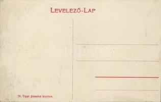 Gombos steam ferry with train