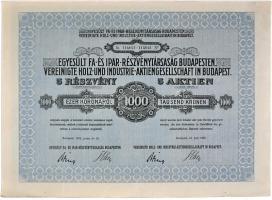 1923. "Egyesült Fa- és Ipar-Részvénytársaság Budapesten" részvény 1000 Koronáról, szelvényekkel T:II Hungary 1923. "United Wood and Industry Ltd."  stock in 1000 Korona value with coupons C:XF