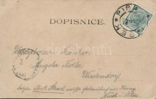 Písek, floral s: K. Martínek