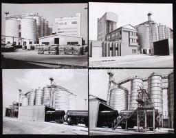 1960-1970 19db fotó az agárdi Agrokomplexről, 18x24cm