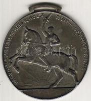 D.Reich 1930-as évek "Für besonderes Leistung-Reit u. Rahrverein" ezüst T:2