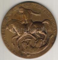 1928. "M.kir. Honvédelmi Miniszter Tiszteletdíja" bronz plakett Szign:Reményi T:2