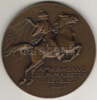 1920-as 30-as évek "M.kir. Honvédelmi Miniszter Tiszteletdíja" bronz plakett T:2