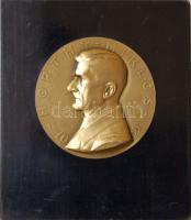 1920. Extrém nagyméretű aranyozott bronzplakett falapon "Horthy Miklós" Szign:Zs.Csiszér T:2