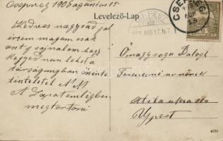 Csepreg Hosszú utca, Cser utca