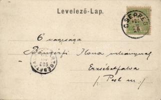 Csepreg Széchenyi tér, Schöller-kastély