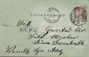 Budapest V. Magyar Francia Biztosító, Eötvös-szobor litho