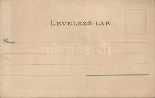 Budapest V. Ferenc József tér litho s: Rauol Frank