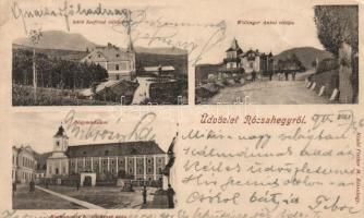 Rózsahegy, villa of Seefried and Antal Willinger, grammar school (wet damage)