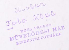 cca 1960 Medgyesi László: Fő a nyugalom. Hátoldalán jelzett, több hazai és külföldi kiállításon szer...