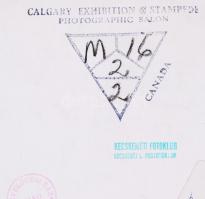 cca 1960 Medgyesi László: Fő a nyugalom. Hátoldalán jelzett, több hazai és külföldi kiállításon szer...