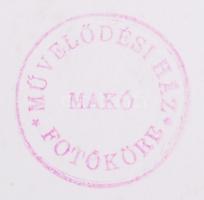 cca 1960 Medgyesi László: Fő a nyugalom. Hátoldalán jelzett, több hazai és külföldi kiállításon szer...