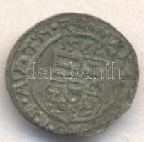 1566K-B Denár Ag "Miksa" (0.48g) T:2 
Unger II: 766a., Huszár: 992
