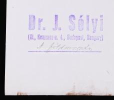 cca 1960 Dr. Sólyi József: A földmozgatás. Hátoldalán jelzett, 40x27cm