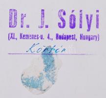 cca 1960 Dr. Sólyi József: Móricz Zsigmond körtér. Hátoldalán jelzett, 25x40cm