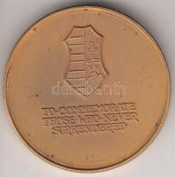 Amerikai Egyesült Államok 1966. "Szabadságot Magyarországnak! - 56-os forradalom 10 éves évford...