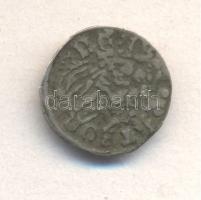 1482-1486. Denár "I. Mátyás" (0,54g) T:2- 
Huszár 719.,Unger I.: 565.d