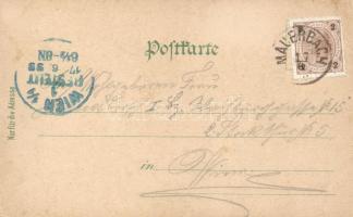 1899 Tulbing, Restaurant Passauerhof, Dorfinger's Inn, Doppler's Inn litho