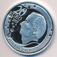 Belgium 2005. 20 Ag "FIFA World Cup Germany 2006" T:PP Eredeti dísztokban tanúsítvánnyal Belgium 2005. 20 Euro "FIFA World Cup Germany 2006" C:PP in orogonal case with certificate