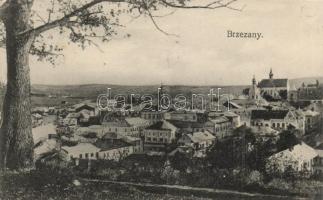 Berezsani / Berezhany