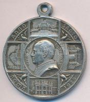 Vatikán 1925. "Anno Santo Roma 1925. XI. Pius" ritka pápai medál T:2
