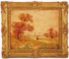 Dalnoki jelzéssel: Táj libákkal. Olaj, karton, igényes, aranyozott fakeretben, 29x34cm + Úton. Olaj,...