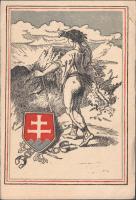 Czechoslovak military charity card