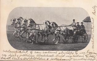 Budapest tenyészállatvásár 1938; a debreceni méntelep szépségverseny nyert hatos fogata (fa)