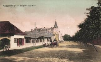 Nagymihály Sulyovszky street