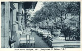 Budapest VIII. Szívós söröző (fa)