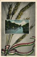 Békéscsaba Kőrös részlet