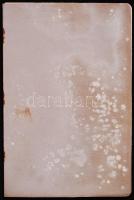 1893 Nemzeti baleset- és munkás-biztositó részvény-társaság Budapesten: Dijtáblázat és koczkázatok o...