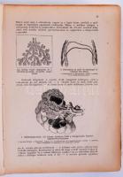 Az egészség enciklopédiája. Egy színes bonctani képpel, 32 táblával és 140 ábrával. Bp., é.n., Encik...