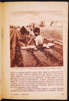 Utmutató a zöldségkertészetek öntözéséhez. Bp., é.n., A Földművelésügyi Minisztérium Kisérleti és Pr...