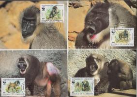 WWF: Monkeys set of 4 pieces in CM, WWF: Majmok sor 4 db CM-en