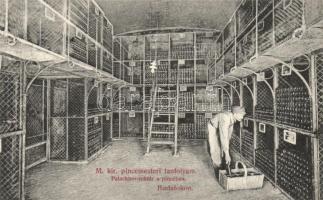 Budapest XXII. Budafok; Pincemesteri tanfolyam, palackbor raktár