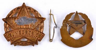 1955. Díszszemle "1945-1955. április 4." zománcozott kitüntetés (tű letört) + 1960. "...