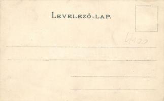 Budapest II. Szent Lukács fürdő, a Nymphea Thermalis tó, litho