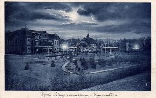 Gyula, József szanatórium a Lugos erdőben (EB)