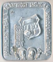 1948. "A Volt Hadifoglyok Bajtársi Szövetsége a 48-as Eszmékért" Al felvarrható jelvény T:...