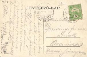 Budapest VI. Aréna út 82.; Dr. Batizfalvy-féle szanatórium, park