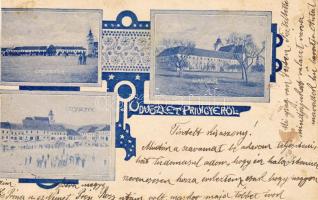 1901 Privigye hosszúcímzéses (levágott)