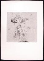 Kovács Imre (1938): Vége. Cinkkarc, papír, 2/25, jelzett, 58,5x41,5cm