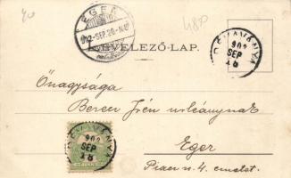 Dévaványa Református templom, Vadkacsa szálló