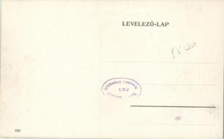 Budapest XVIII. Pestszentlőrinc, falkavadászat